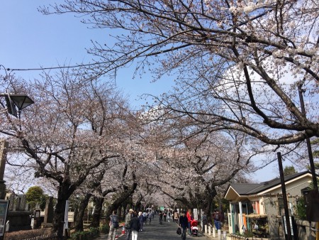 106 Yanaka Cemetery